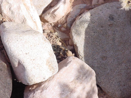 dsc00075